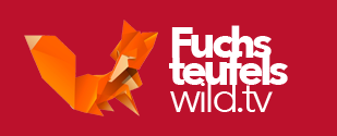 Fuchsteufelswild Online Marketing Berlin